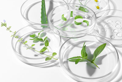 뉴스기사 메인이미지