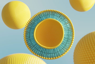 뉴스기사 메인이미지